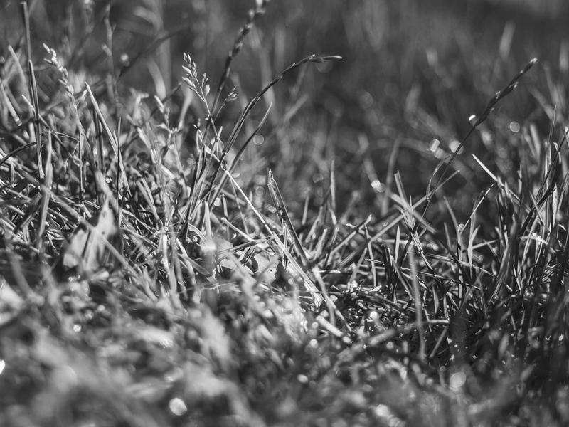 mini sudoku screenshot 2